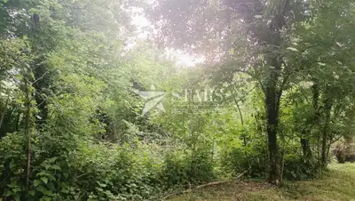 Grundstück 67.925 m², Tržić Tounjski - Ruhe und Natur - 13