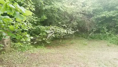 Grundstück 67.925 m², Tržić Tounjski - Ruhe und Natur - 11