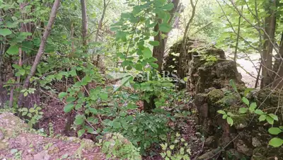 Grundstück 67.925 m², Tržić Tounjski - Ruhe und Natur - 7