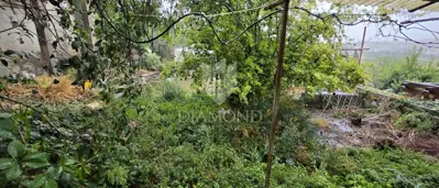 House for renovation in the center of Vrsar - only 100 m from the sea - 13