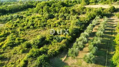 ZADAR, MURVICA - Landwirtschaftsland in ruhiger Lage 1.144 m² - 2