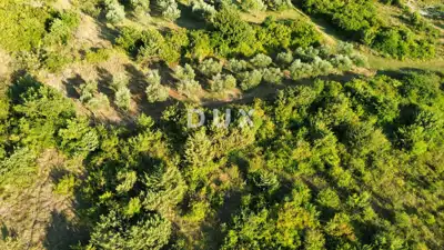 ZADAR, MURVICA - Landwirtschaftsland in ruhiger Lage 1.144 m² - 5
