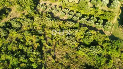 ZADAR, MURVICA - Landwirtschaftsland in ruhiger Lage 1.144 m² - 4