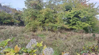 Bau-Wohnland 500m², Markuševec, Podsljeme, Zagreb - 4