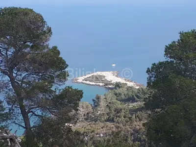 Poljoprivredno zemljište 12 500 m², Jelsa, blizina mora
