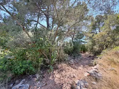 Baugrundstück 726 m², Luka - zweite Reihe zum Meer - 3