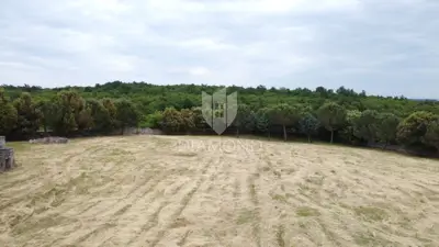 Sveti Lovreč – okolica: Privatnost i prilika u Istri - 9
