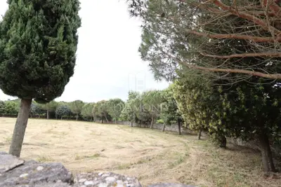 Sveti Lovreč – okolica: Privatnost i prilika u Istri - 6