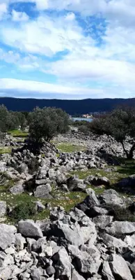 Poljoprivredno zemljište, Otok Krk, pogled na more i pristupni put - 2