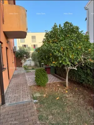 Zu verkaufen: Wohnung in Novigrad mit großem Garten. - 4