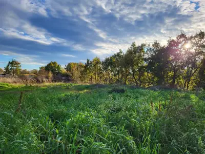 Building land 4,375 m², Kanfanar - quiet location - 2
