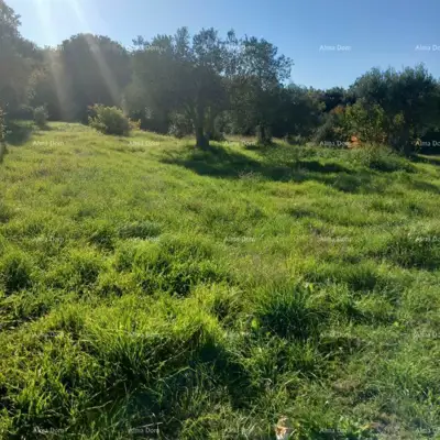 Kuća 130 m², Rovinj - kamena kuća s okućnicom - 10