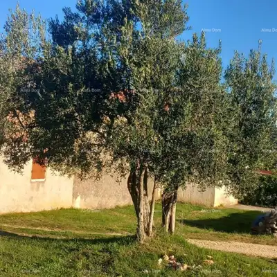Kuća 130 m², Rovinj - kamena kuća s okućnicom - 9