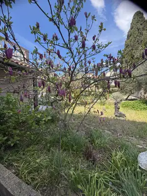 - Kuća sa dva stana, apartmanom, garažom, gr. zemljištem - - 4