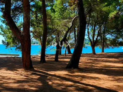 Istra, Poreč, građevinsko zemljište, 958 m², rijetkost na tržištu