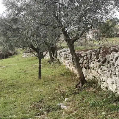 Land plot for sale in Fažana - 4