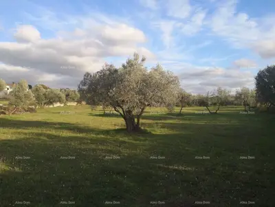 Land plot for sale in Fažana - 3