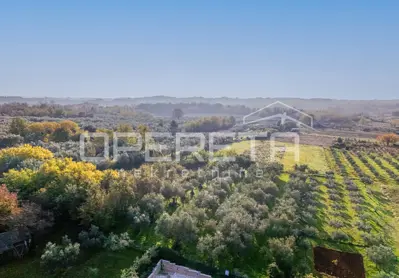 Istra, Lovrečica- građevinsko zemljište 683 m² - 2