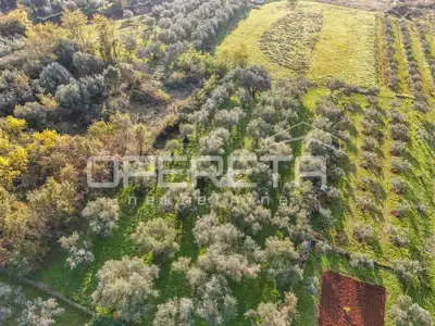 Istra, Lovrečica- građevinsko zemljište 683 m² - 3