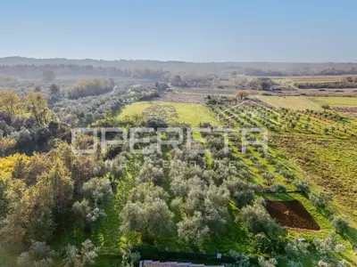 Istra, Lovrečica- građevinsko zemljište 683 m² - 5