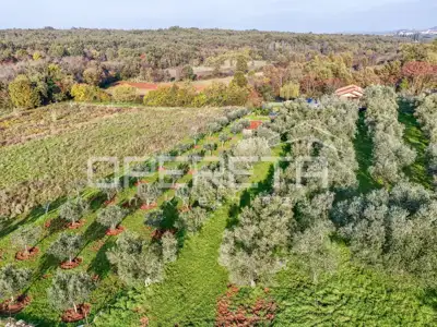 Istra, Lovrečica- građevinsko zemljište 683 m² - 6