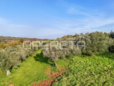Istra, Lovrečica- građevinsko zemljište 683 m²