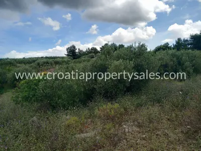 Poljoprivredno zemljište 5.192 m², Otok Brač, pogled na more - 8