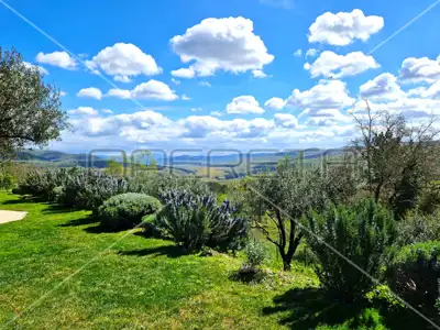 Istria, Grožnjan, luxury secluded villa with panoramic views - 7