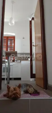 Ugljan, Preko, samostojeća kuća, odlična lokacija - 6