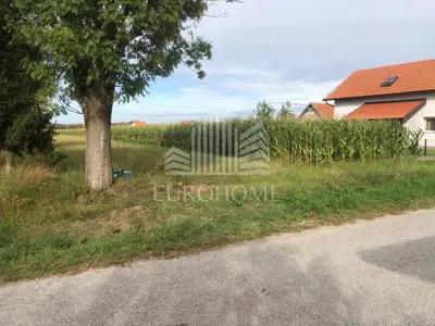 Agricultural land 8,848 m², Brezovica - along an asphalt road - 3
