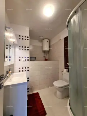 Haus, Ližnjan, zwei Wohneinheiten und Hofhäuschen - 14