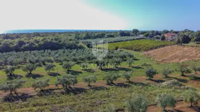 Villa 184 m², Novigrad Umgebung - Pool und 3 Schlafzimmer - 18
