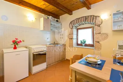 Stone house 90 m², Labin surroundings - renovated and quiet location - 8