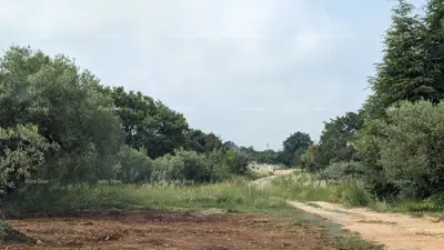 Građevinsko zemljište 705 m², Poreč - 800 m od mora