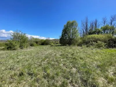 Building plot 1,428 m², Karojba - quiet location