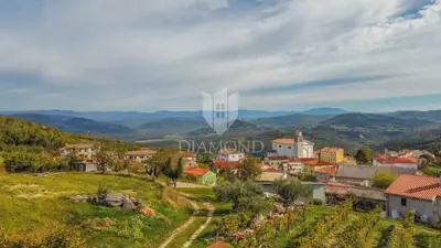 Haus 358 m², Vižinada - 5 Apartments und Blick auf die Landschaft - 2