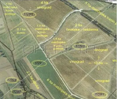 Poličnik, agricultural land 511 213 m², plantations and irrigation - 5