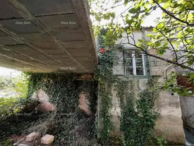 Kamena kuća, Fažana - vrt i građevinsko zemljište 1.917 m² - 4