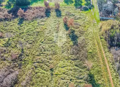 Baugrundstück 3.000 m², Umag - Investition - 2