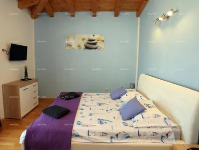 Vila u Medulinu, blizu mora i plaže, bazen s hidromasažom - 10