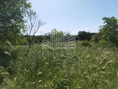 Seosko imanje, Debeljak, 314 m² kuća i 1.260 m² zemljište - 20