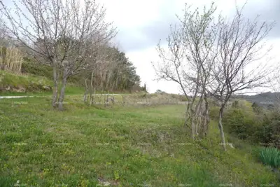 Zemljište 3.059 m², Zamask - otvoren pogled na Motovun - 2