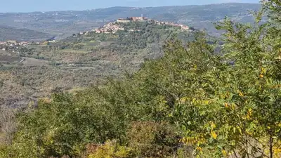 Zemljište 3.059 m², Zamask - otvoren pogled na Motovun - 4