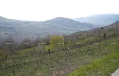 Zemljište 3.059 m², Zamask - otvoren pogled na Motovun