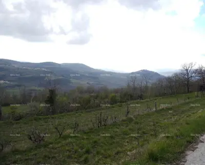 Zemljište 3.059 m², Zamask - otvoren pogled na Motovun - 5