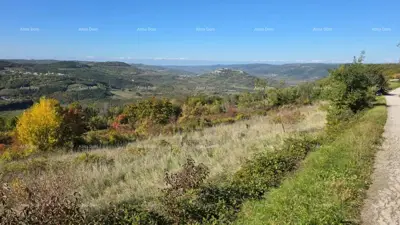 Zemljište 3.059 m², Zamask - otvoren pogled na Motovun - 6