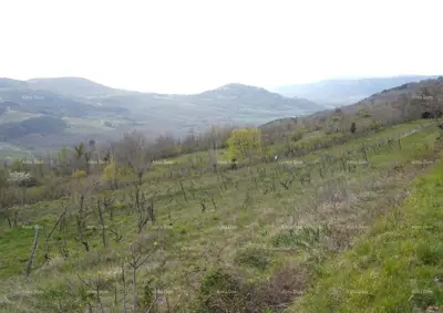 Zemljište 3.059 m², Zamask - otvoren pogled na Motovun - 7