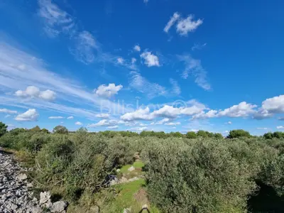 Vodice, business land 1521 m², for sale - 3
