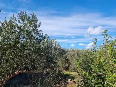 Vodice, business land 1521 m², for sale - 4