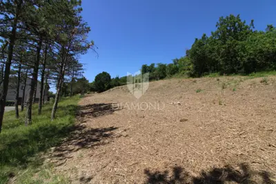 Building plot 2,163 m², Kršan - view of Učka - 12